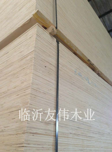 異形托盤板不可貌相，發(fā)展前景不可限量